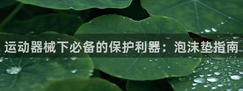 尊龙凯时发展历程