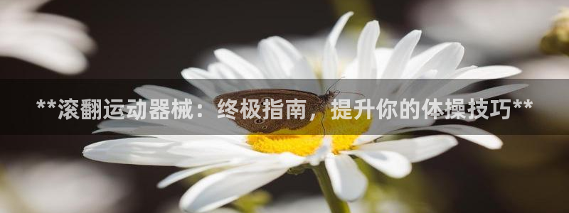 尊龙网站注册网