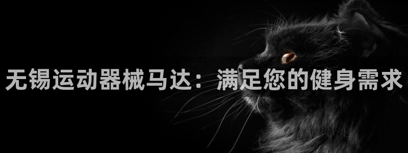 尊龙人生就是博AG：无锡运动器械马达：满足您的健身需