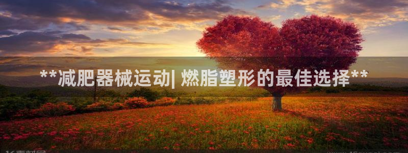 尊龙凯时和九游会哪个平台好一点