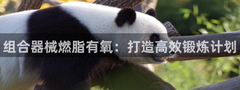 尊龙d88官网去来就送38：组合器械燃脂有氧：打造高