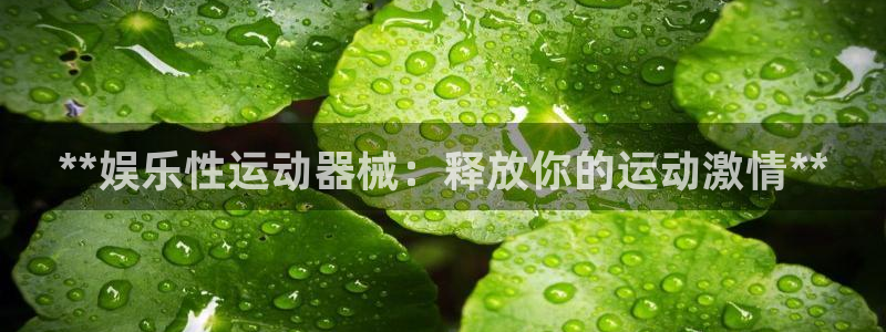 尊龙手机官方客户端下载安装