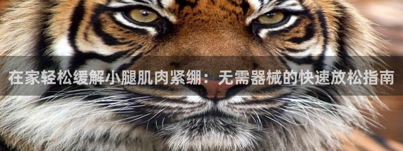 尊龙现在：在家轻松缓解小腿肌肉紧绷：无需器械的快速放