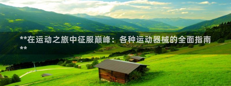 尊龙凯时论坛：**在运动之旅中征服巅峰：各种运动器械