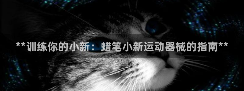 尊龙凯时能做退米么：**训练你的小新：蜡笔小新运动器械的指南