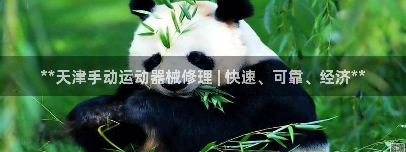 尊龙凯时公司官网：**天津手动运动器械修理 | 快速