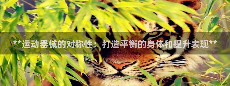 尊龙游戏官网游戏特色：**运动器械的对称性：打造平衡
