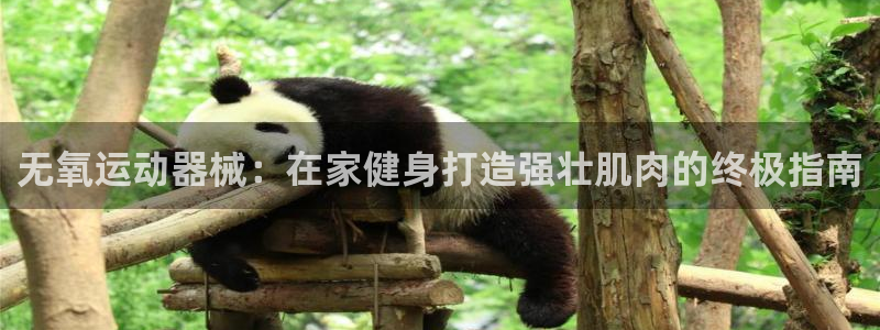 凯时尊龙app国际官方网站：无氧运动器械：在家健身打