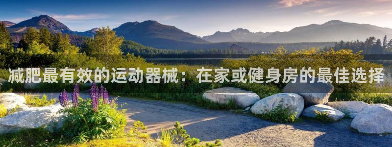 凯时登录平台去AG发财网：减肥最有效的运动器械：在家