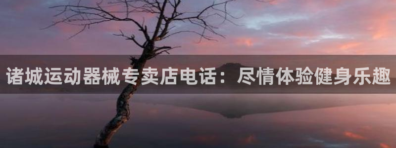 尊龙人生就是博旗舰厅：诸城运动器械专卖店电话：尽情体