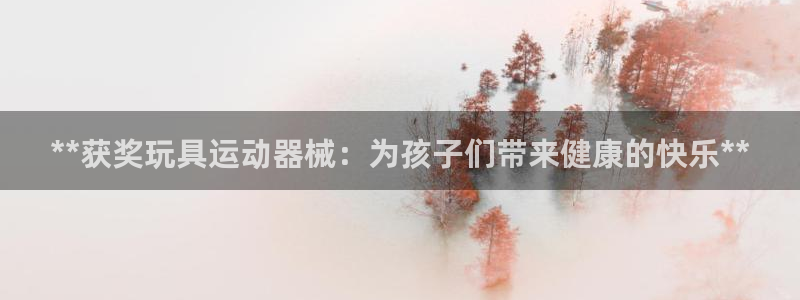 尊龙最经典的三个角色：**获奖玩具运动器械：为孩子们带来健康
