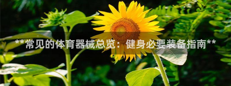 尊龙实业：**常见的体育器械总览：健身必要装备指南**
