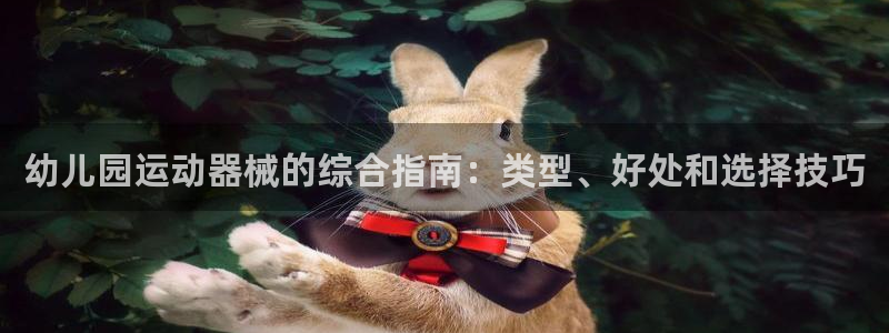 尊龙凯时开发：幼儿园运动器械的综合指南：类型、好处和