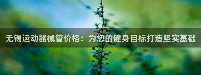 尊龙-人生就是博!：无锡运动器械管价格：为您的健身目