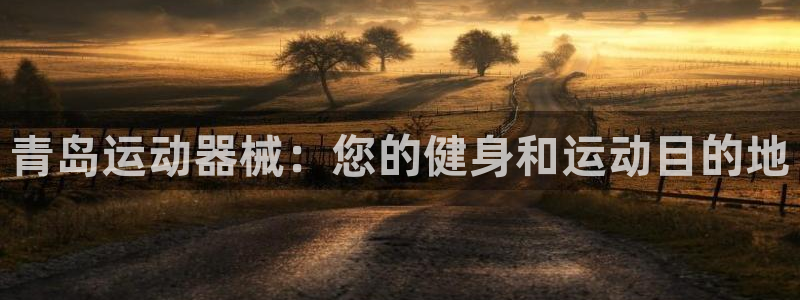 z6尊龙凯时旗：青岛运动器械：您的健身和运动目的地