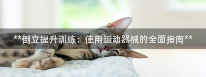 尊龙凯时贴吧：**倒立提升训练：使用运动器械的全面指