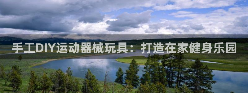 尊龙官方身高：手工DIY运动器械玩具：打造在家健身乐