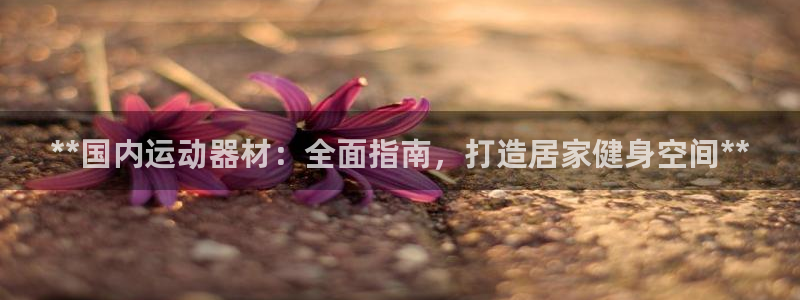 凯时国际网站域名：**国内运动器材：全面指南，打造居
