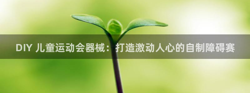 尊龙凯时官网平台：DIY 儿童运动会器械：打造激动人