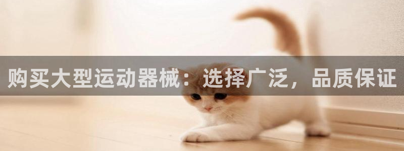 d88尊龙z6