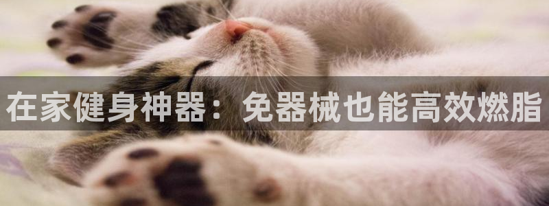 尊龙凯时有限公司：在家健身神器：免器械也能高效燃脂