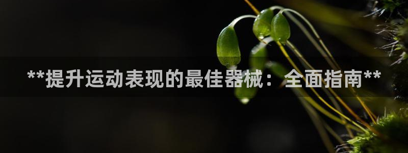 尊龙eight is enough：**提升运动表现