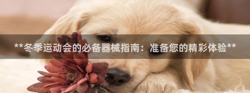 凯时国际官方版：**冬季运动会的必备器械指南：准备您