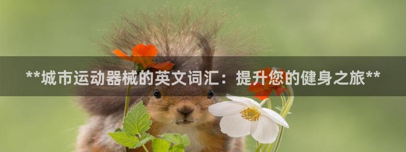 尊龙凯时平台信誉怎样：**城市运动器械的英文词汇：提