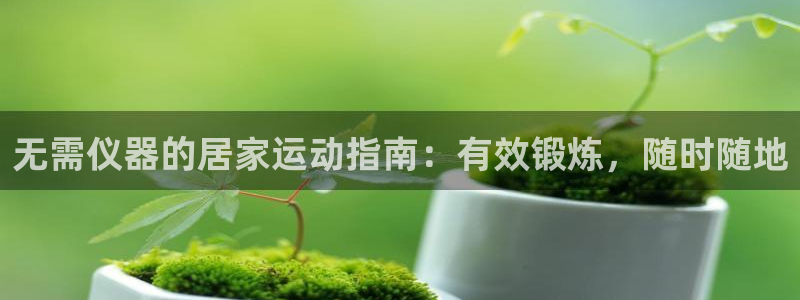 尊龙d88官网QU来就送38：无需仪器的居家运动指南