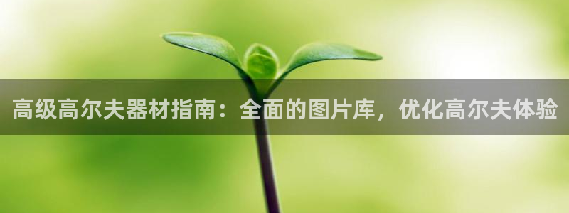 尊龙网平台：高级高尔夫器材指南：全面的图片库，优化高