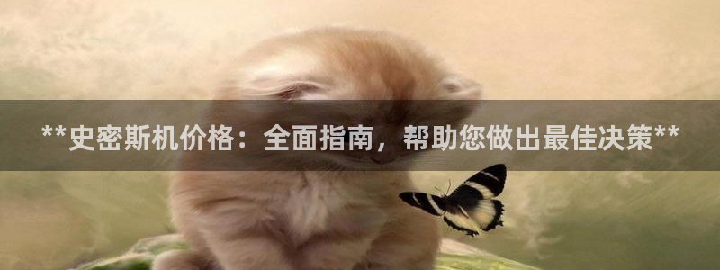 凯时kb88会员登录：**史密斯机价格：全面指南，帮