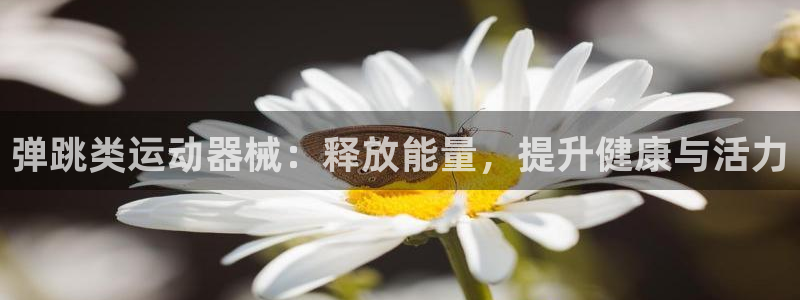 尊龙游戏app官方网站：弹跳类运动器械：释放能量，提