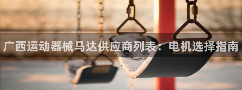 尊龙官网入口：广西运动器械马达供应商列表：电机选择指