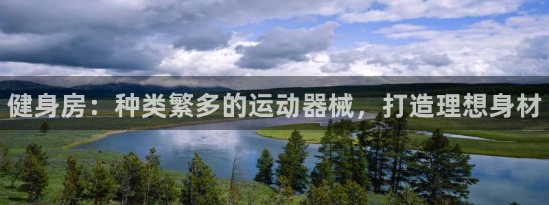 尊龙集团有限公司：健身房：种类繁多的运动器械，打造理
