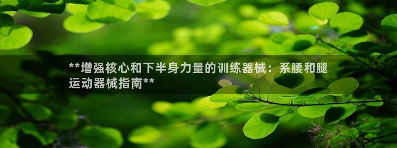 尊龙手机版下载：**增强核心和下半身力量的训练器械：