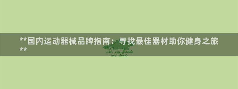 z6com尊龙凯时百家乐：**国内运动器械品牌指南：