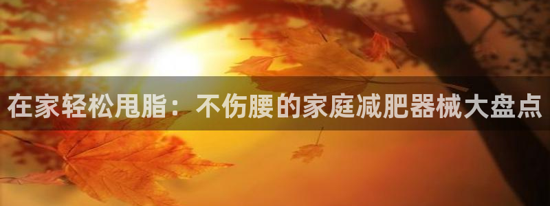 尊龙人生就是博l：在家轻松甩脂：不伤腰的家庭减肥器械