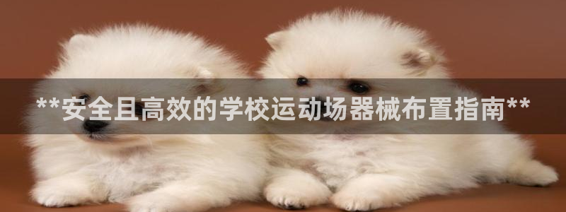 尊龙凯时官网网页版