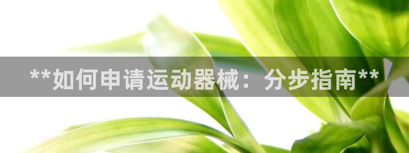 尊龙手机版