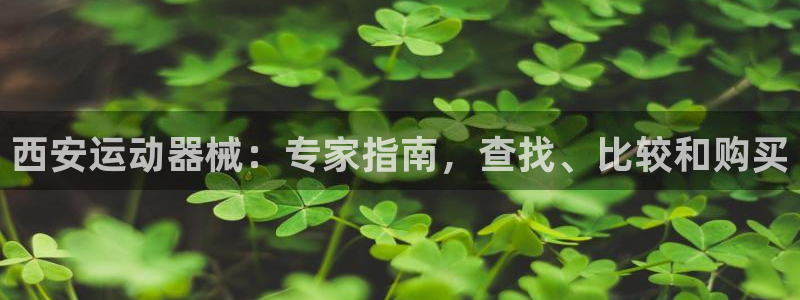 凯时平台登录：西安运动器械：专家指南，查找、比较和购