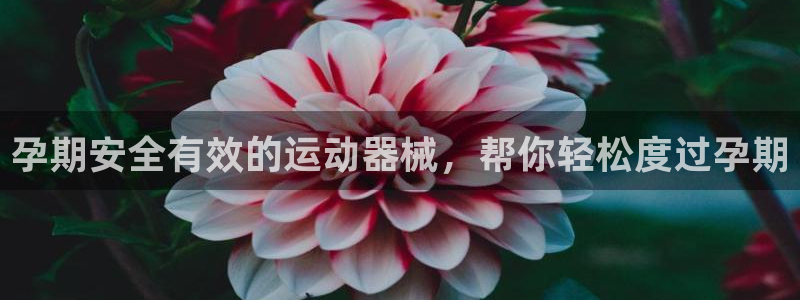 尊龙凯时 人生就是搏!