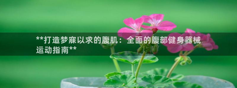 尊龙凯时平台还是万博好：**打造梦寐以求的腹肌：全面