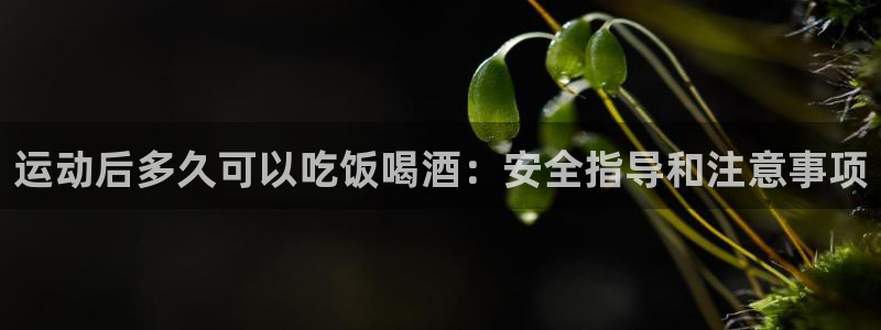 尊龙凯时输钱的原因