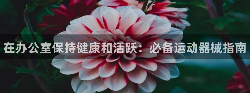 尊龙t300和t400哪个好