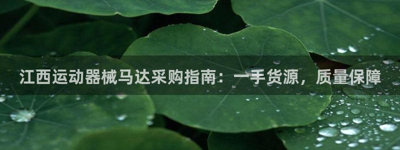 香港尊龙：江西运动器械马达采购指南：一手货源，质量保