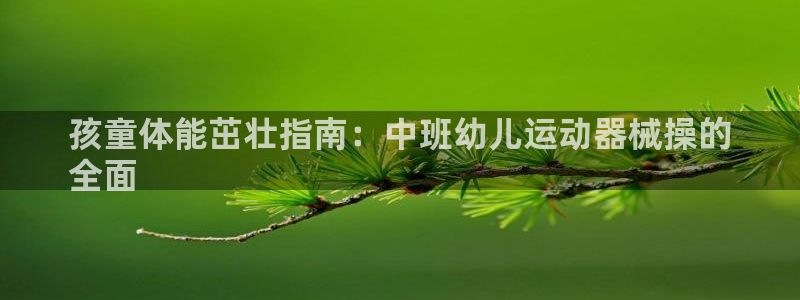 z6com尊龙凯时：孩童体能茁壮指南：中班幼儿运动器械操的
