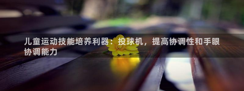 d88尊龙凯时：儿童运动技能培养利器：投球机，提高协调性和手