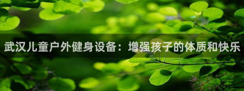 尊龙凯时代理官网入口：武汉儿童户外健身设备：增强孩子的体质和