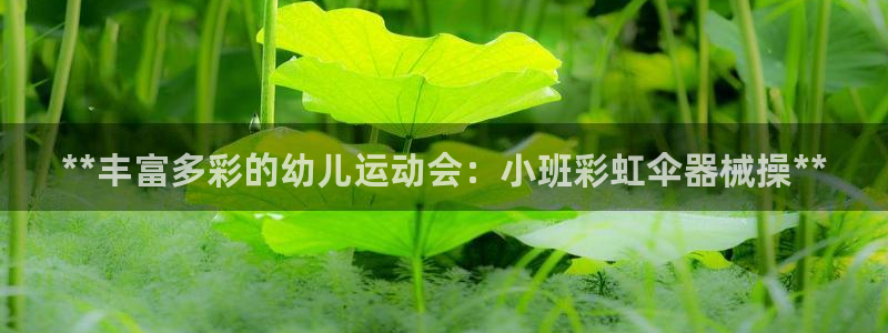 Z6尊龙凯时官方：**丰富多彩的幼儿运动会：小班彩虹伞器械操
