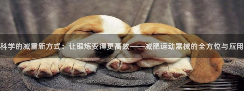 尊龙凯时登入首页